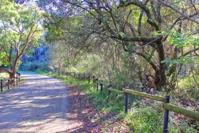 Alkantmooi Private Nature Reserve - Keursee Plettenberg Bay Exterior foto